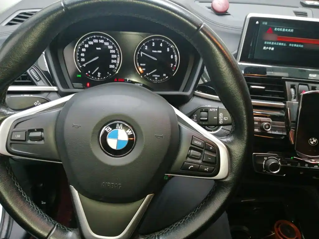 BMW X2 (Import) 2019 2019 sDrive20i M Off-Road Package China VI