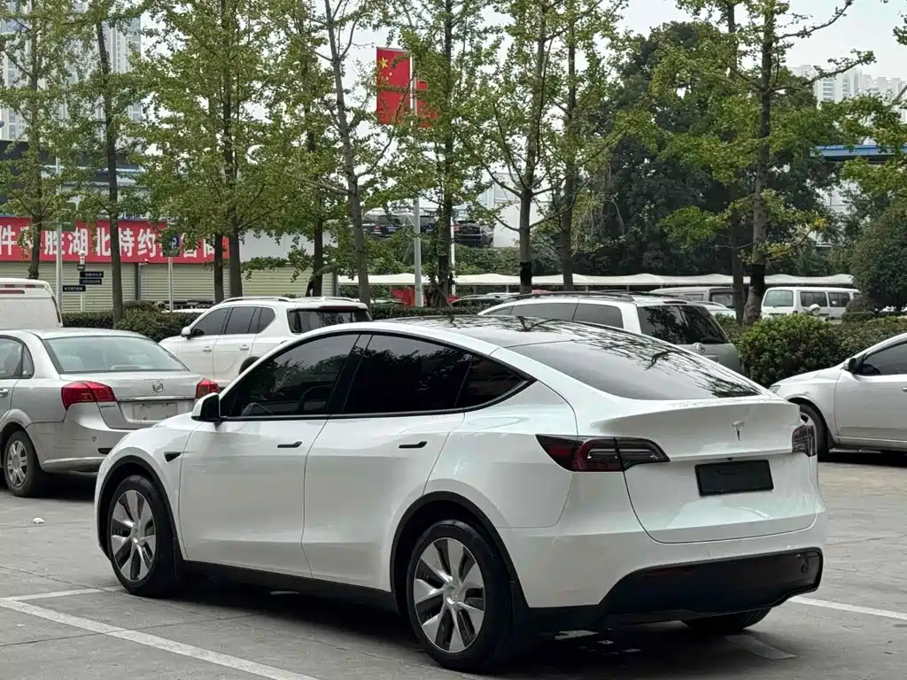 Фото 5 - Tesla Model Y