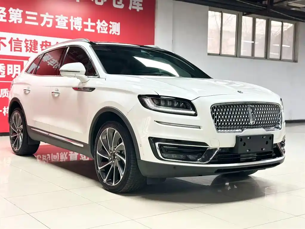 LINCOLN NAVIGATOR (IMPORT)