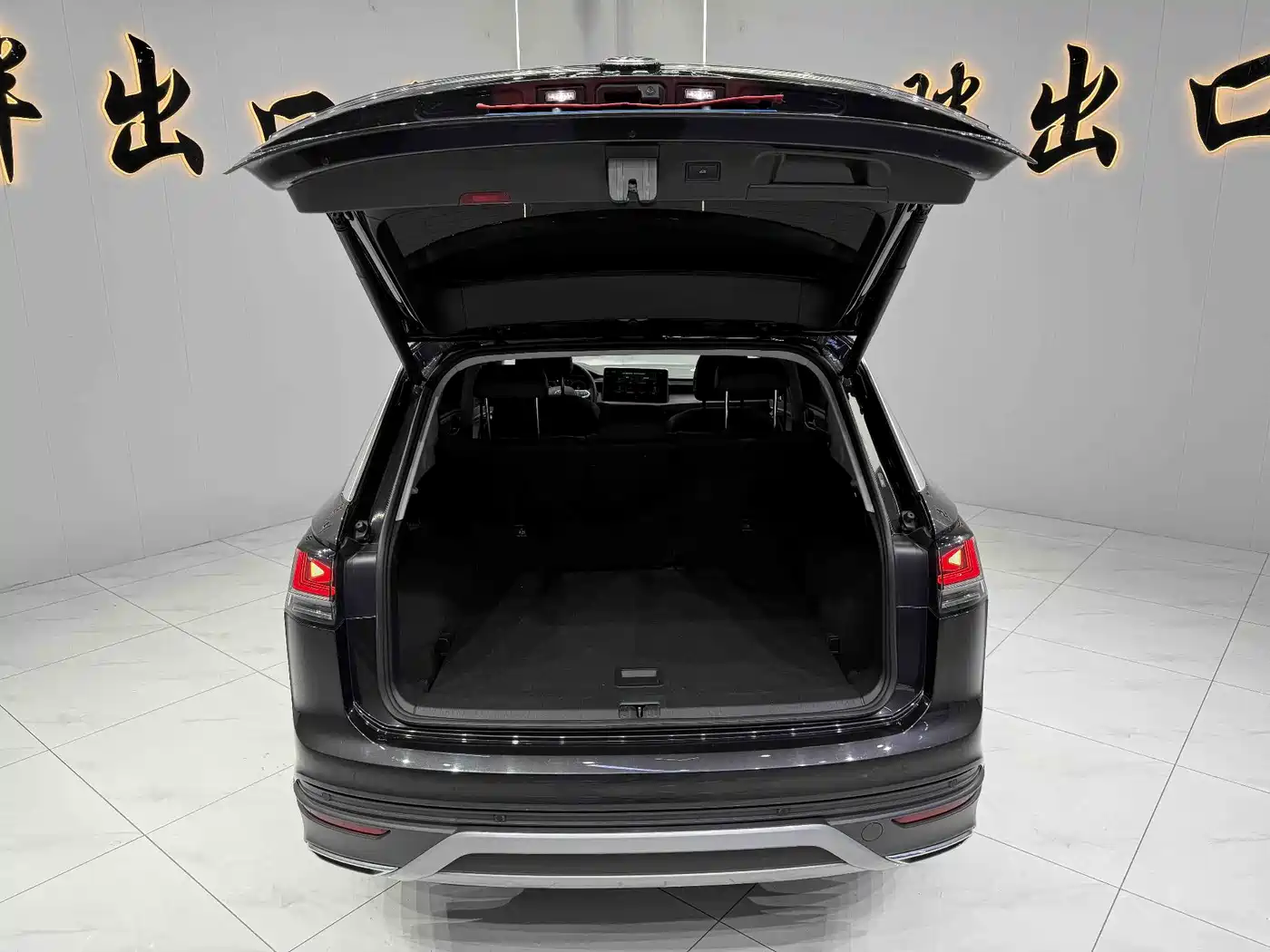 VOLKSWAGEN TANYUE