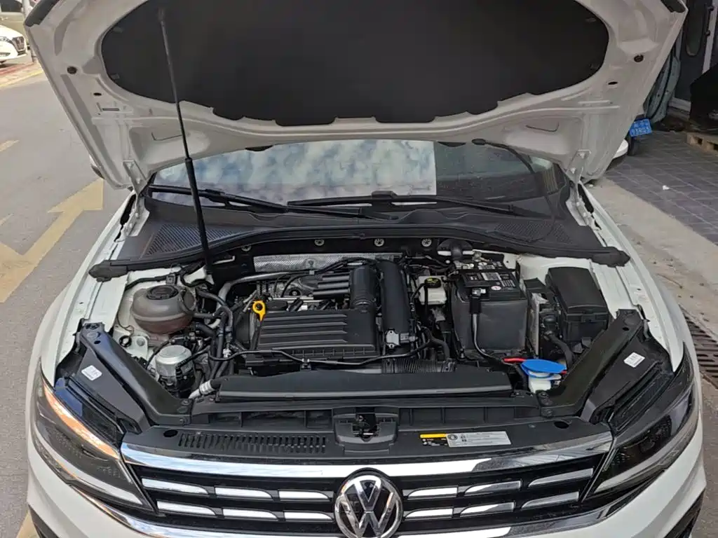 VOLKSWAGEN LINGDU