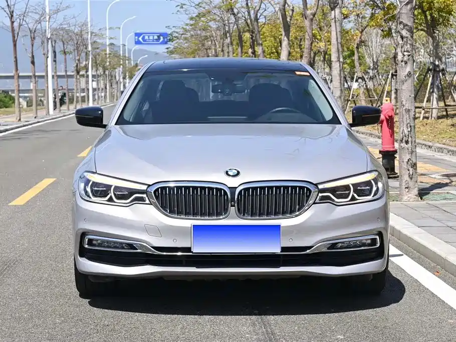 BMW 5 Series 2018 530Li Exclusive Luxury Package фото 2