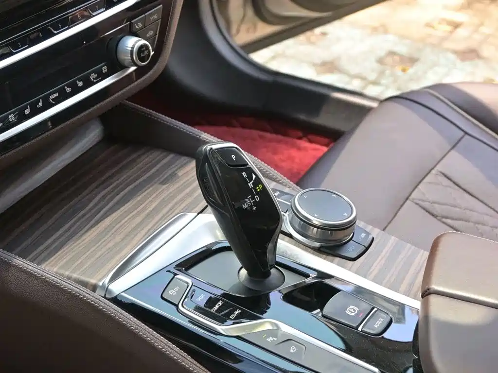 BMW 5 Series 2018 530Li Exclusive Luxury Package фото 9