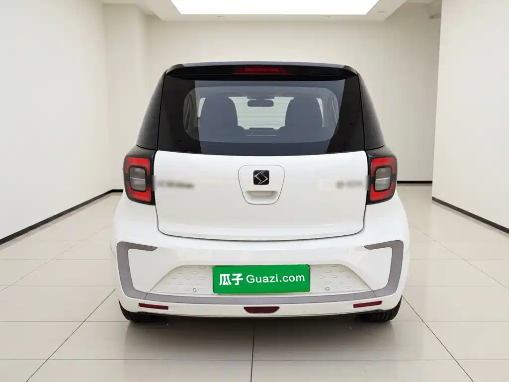 Sehol Flower Fairy 2021 2021 302km Luxury Edition 31.4kWh