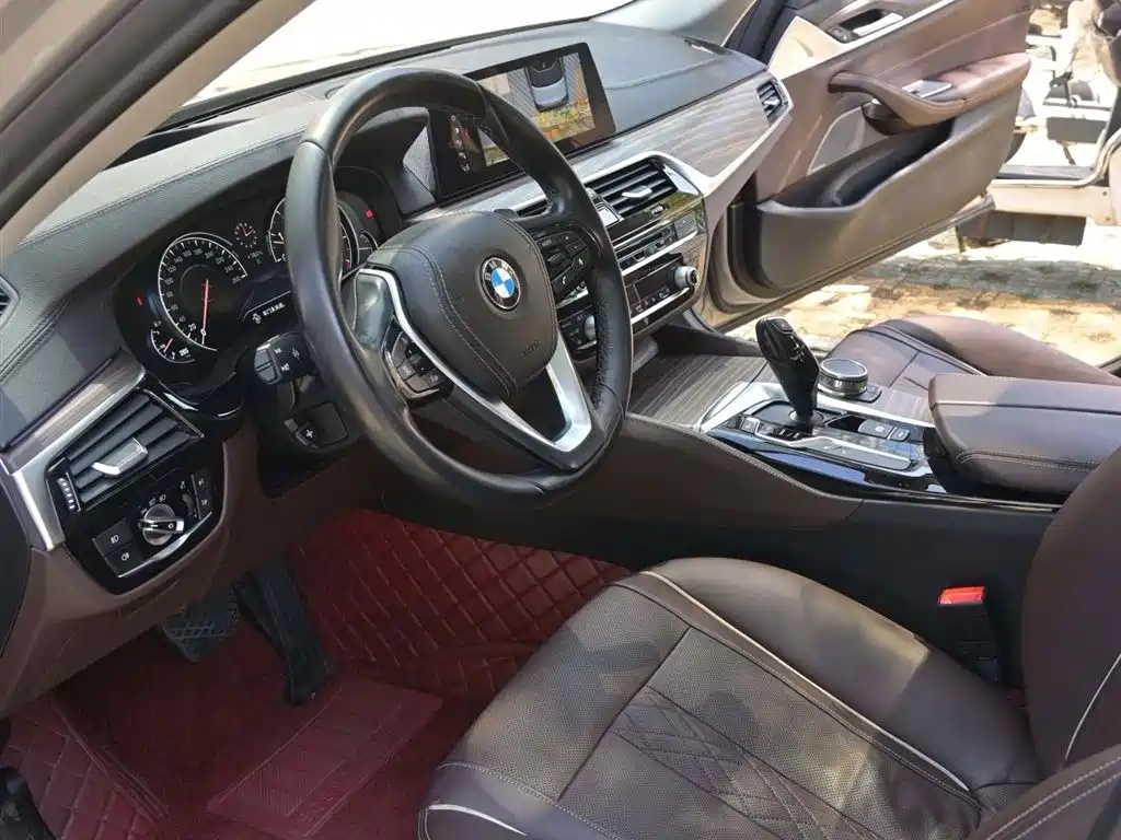 BMW 5 Series 2018 530Li Exclusive Luxury Package фото 7