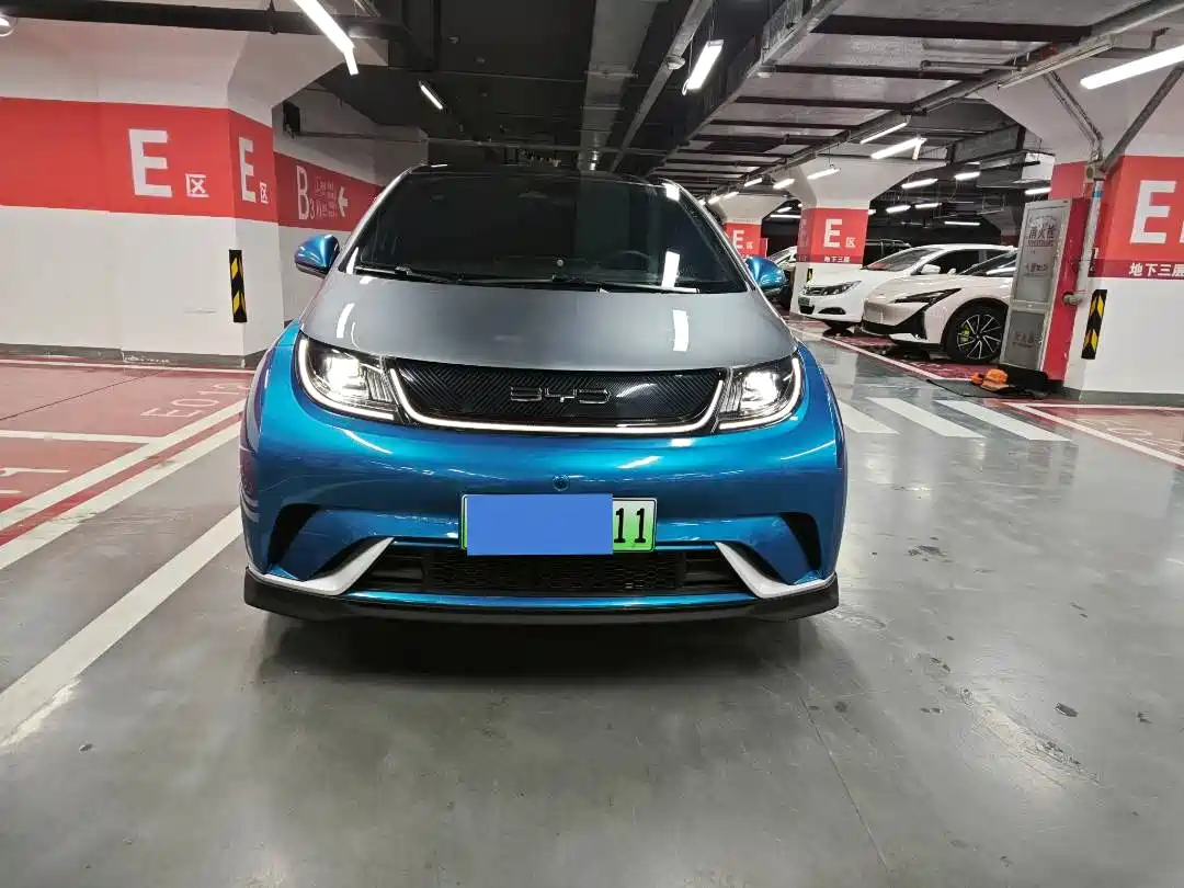 BYD Dolphin 2023 401km Knight Edition фото 2