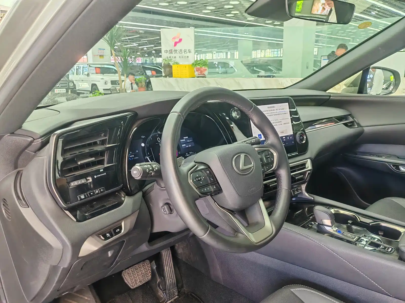 Фото 13 - Lexus RX