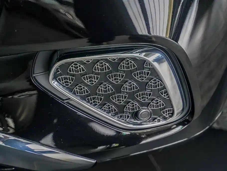 Mercedes-Benz Maybach GLS 2024 GLS 600 4MATIC Ritual Edition фото 7