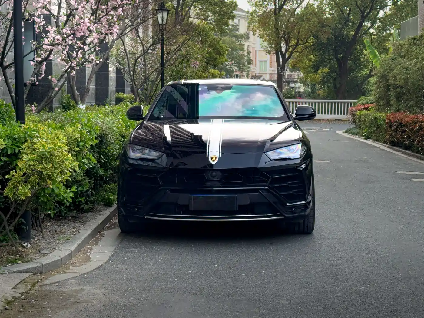 Lamborghini Urus 2018 4.0T V8 фото 2