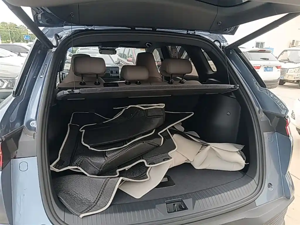 BYD Song Pro New Energy 2023 Champion Edition DM-i 110KM Excellence фото 19