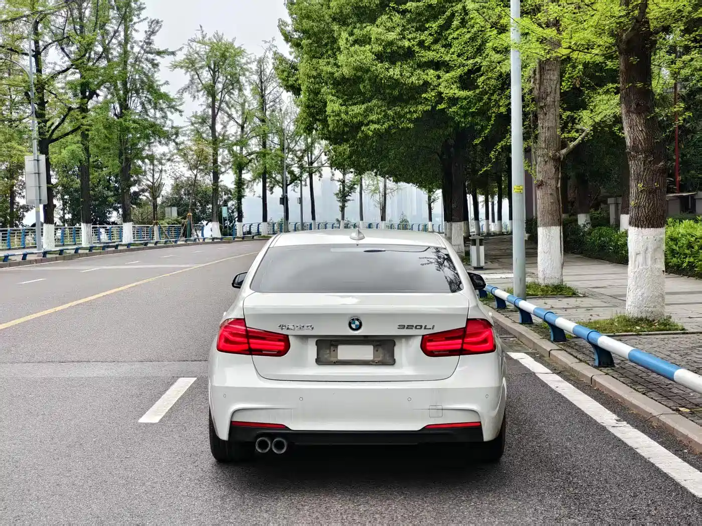 BMW 3 Series 2019 320Li M Luxury Package фото 8