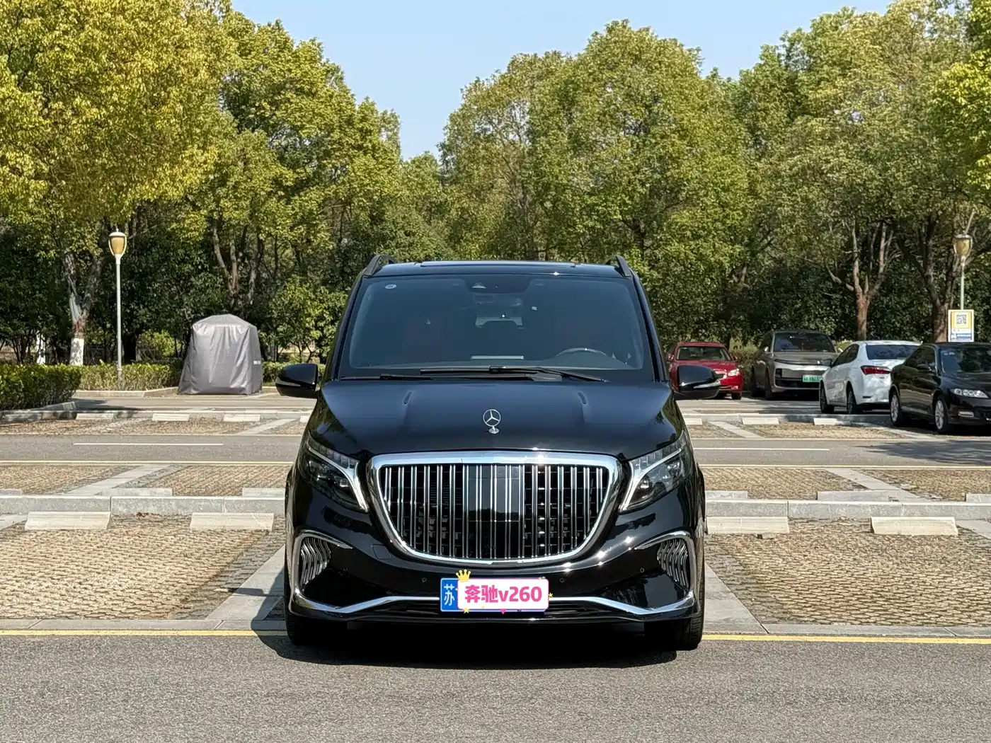 MERCEDES-BENZ V CLASS