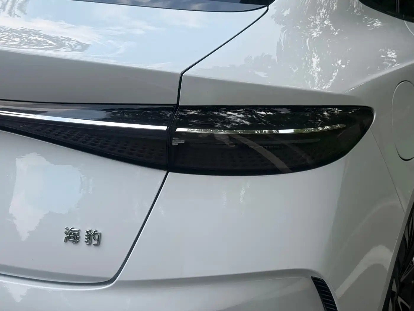 BYD Seal 2024 2023 Champion Edition 550km Elite