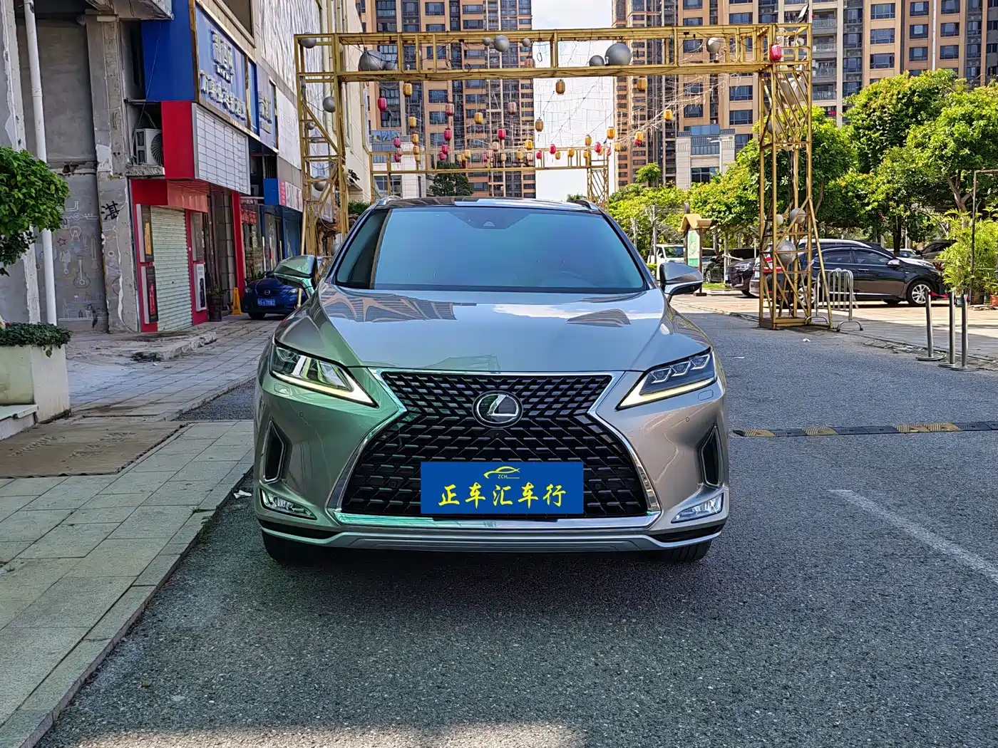Lexus RX 2020 300 4WD Elegance Edition China VI фото 2