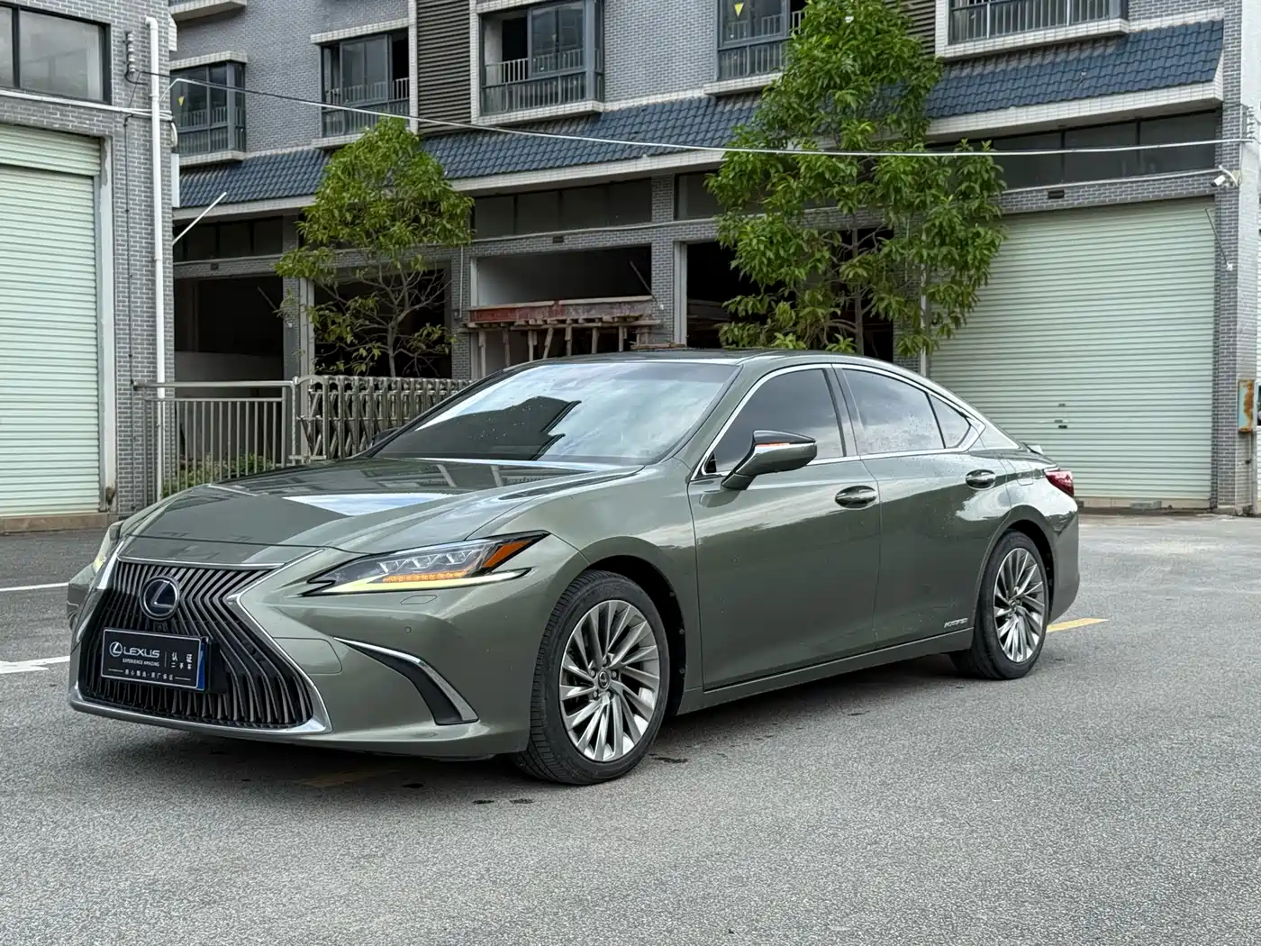 Lexus ES 2018 300h Executive Edition China V