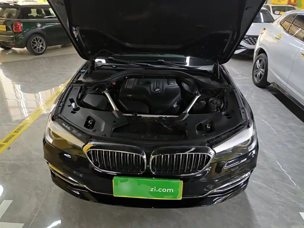 BMW 5 Series 2019 Facelift 525Li Luxury Package фото 20