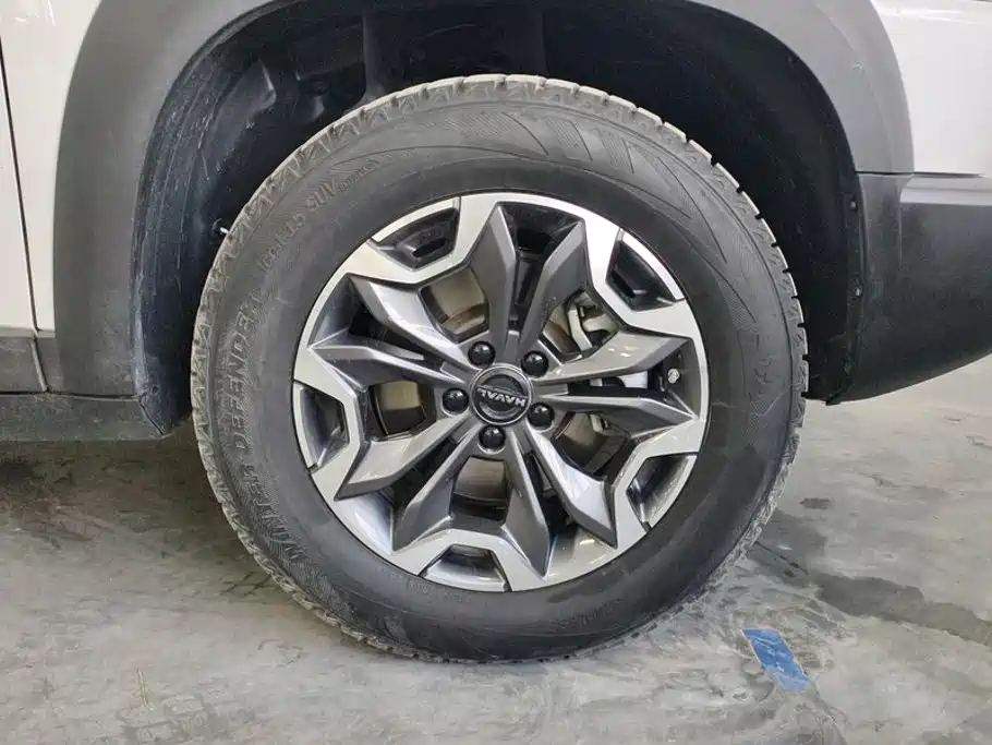 Photo 6 - Haval Big Dog