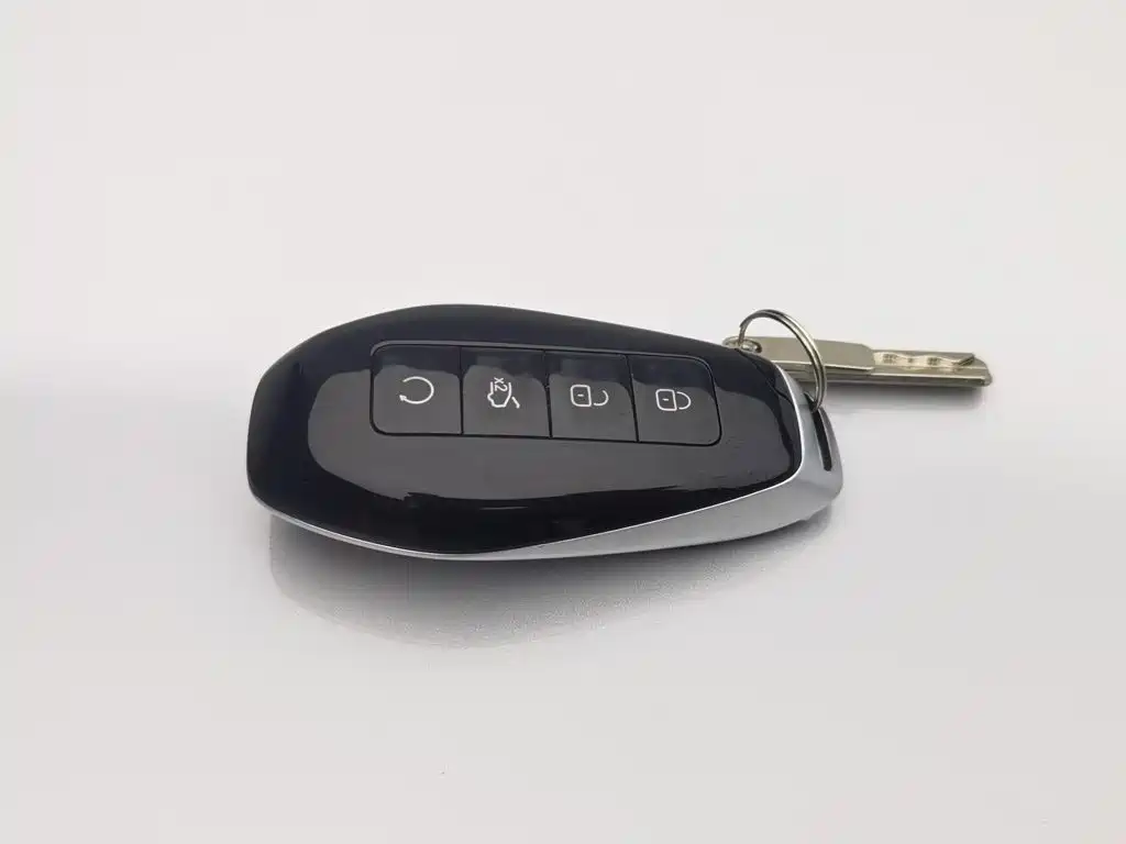 Denza N9 2025 2025 Flagship Model