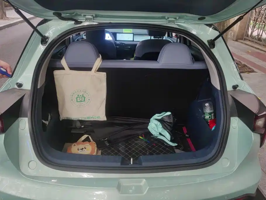 Geely Geometry E Firefly 2022 2022 401KM Thunder Tiger 4-Seater
