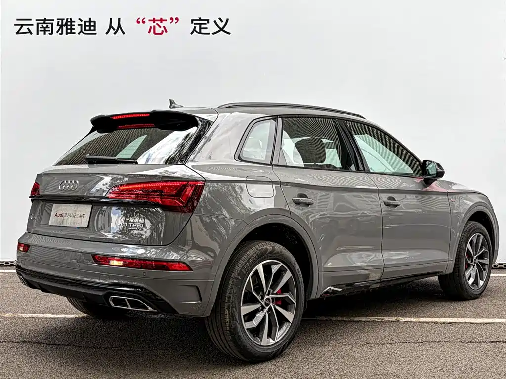 Audi Q5L 2025 45th Anniversary Edition 40 TFSI Luxury Sport фото 4