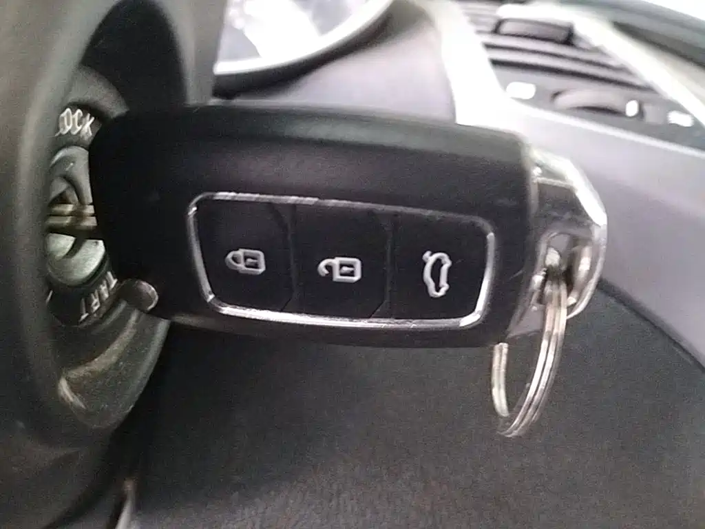HYUNDAI LANGDONG