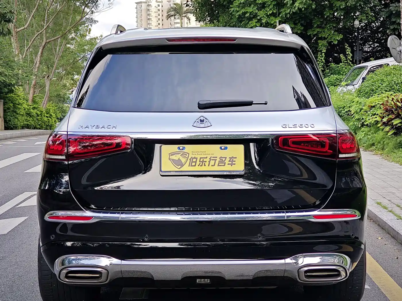 Mercedes-Benz Maybach GLS 2021 GLS 480 4MATIC фото 32