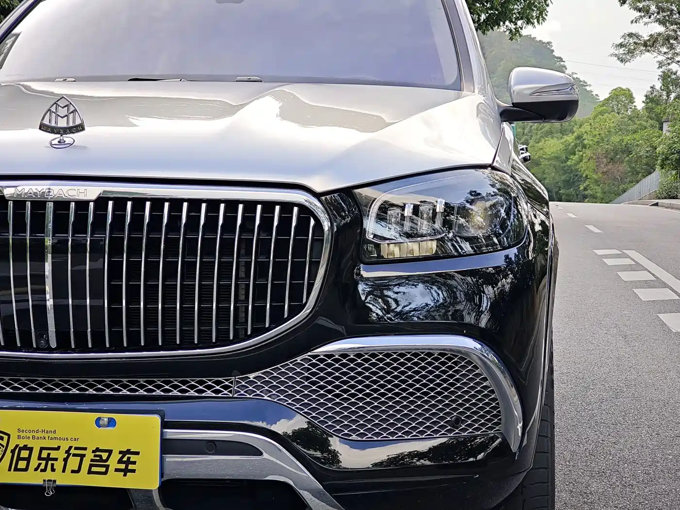 Mercedes-Benz Maybach GLS 2021 GLS 480 4MATIC фото 4