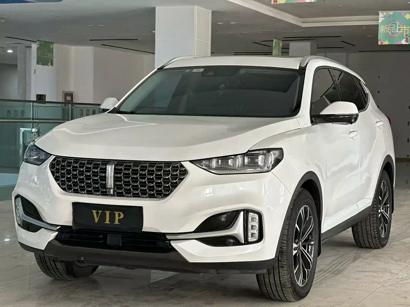 WEI PAI WEI BRAND VV6