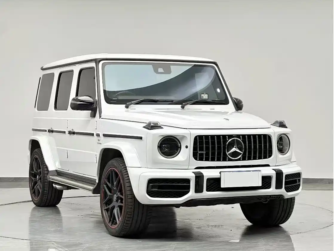 Mercedes-Benz G-Class 2019 G 500 фото 3