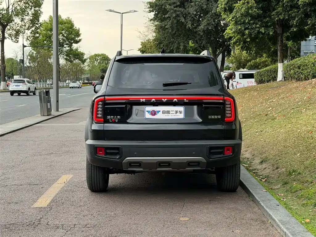 Haval Big Dog 2024 1.5T DCT Border Collie Edition фото 5