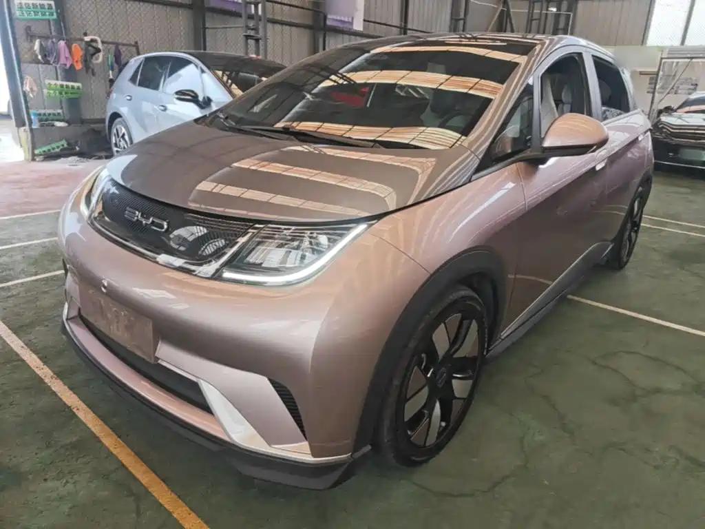 BYD Dolphin 2021 401km Knight Edition