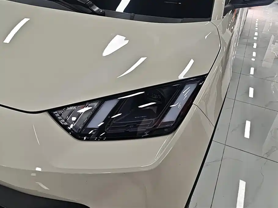 BYD Seagull 2024 Glory Edition 405km Soaring Edition фото 5