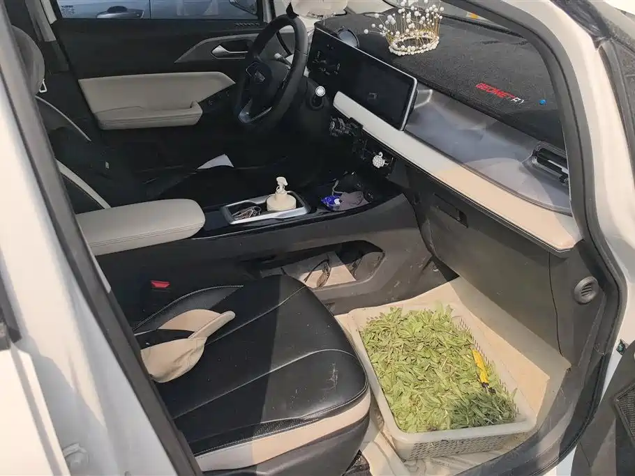 GEELY GEOMETRY E FIREFLY