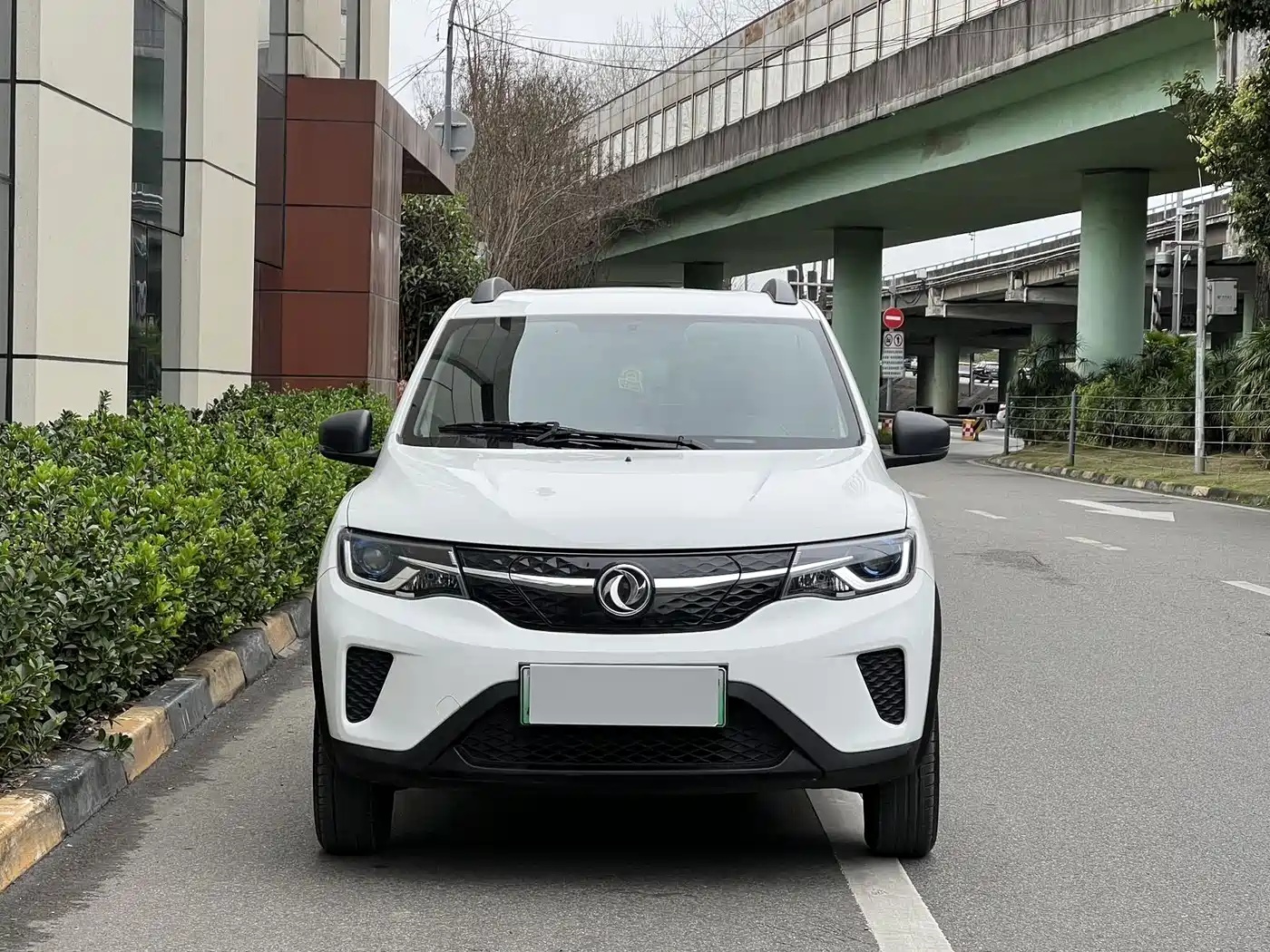 DONGFENG EX1