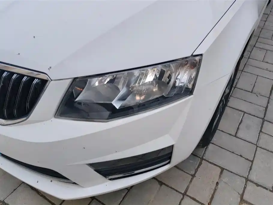 Škoda Octavia 2017 1.6L Automatic Pioneer Edition фото 5