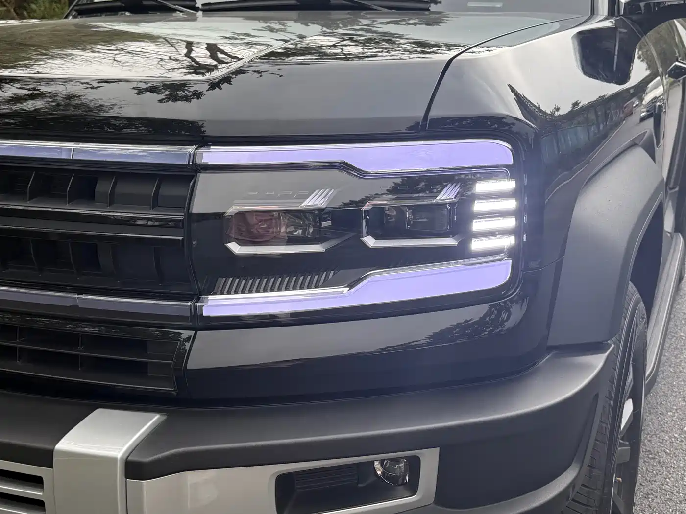 FANG CHENG BAO LEOPARD 5