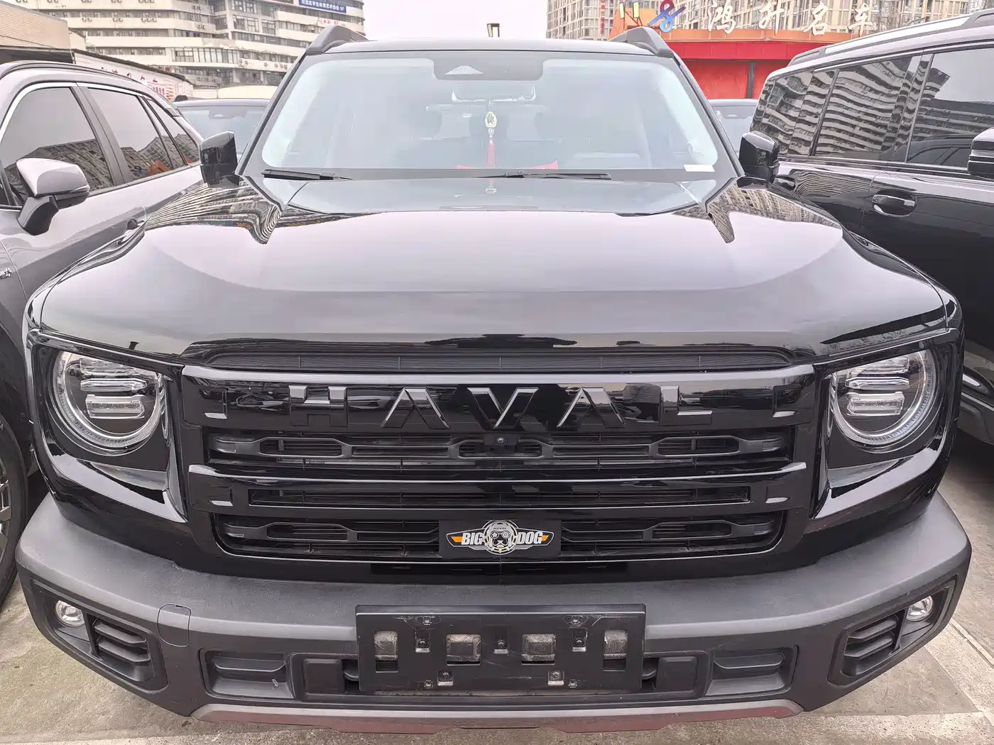 HAVAL BIG DOG