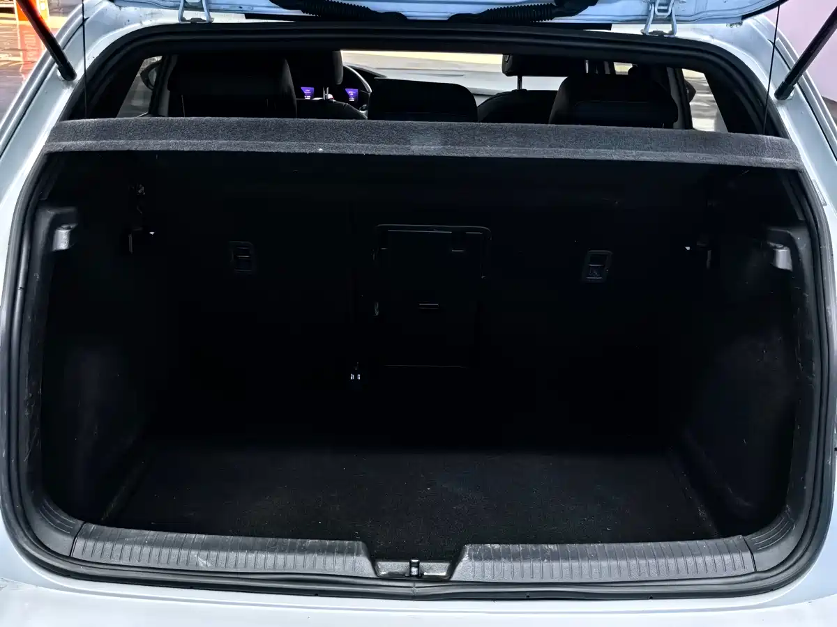 Volkswagen Golf 2021 280TSI DSG R-Line фото 23