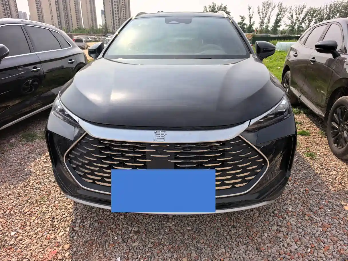 BYD Tang New Energy 2024 DM-i Glory Edition 112KM Deluxe фото 2