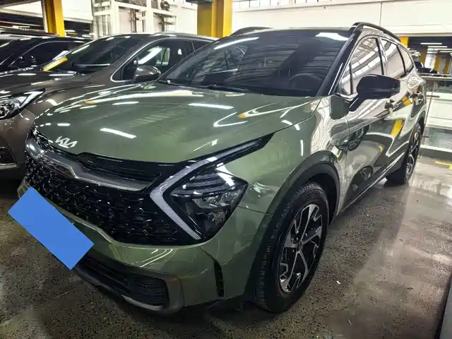 kia lion-platinum-expands-the-world