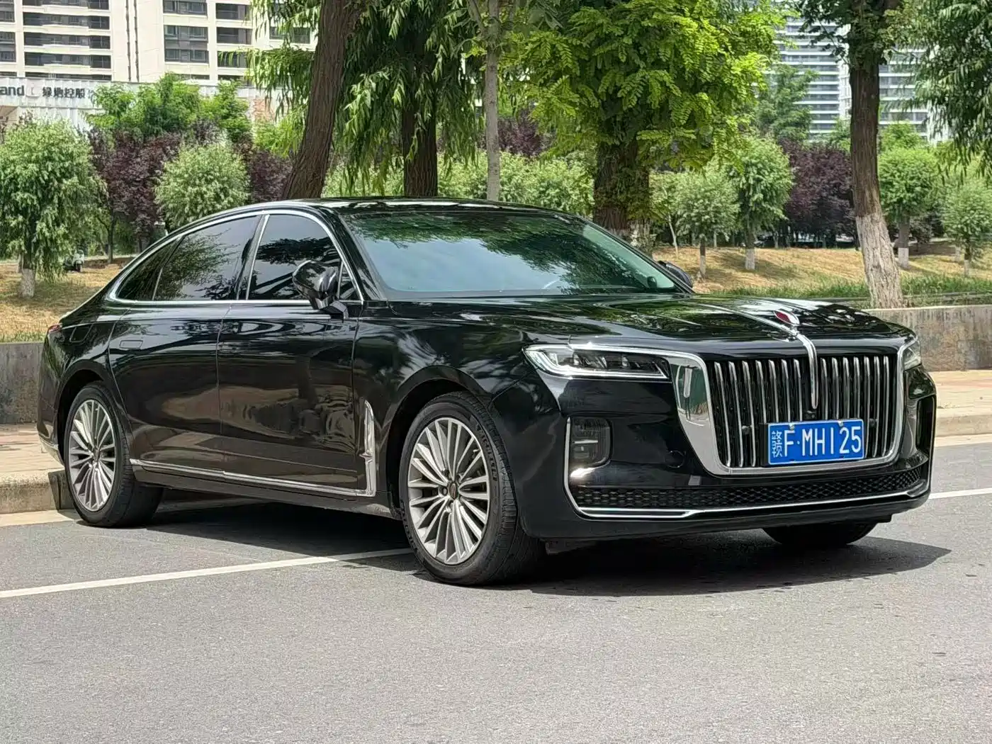 Hongqi H9 2020 2.0T Smart Connection Qi Xiang Edition фото 3