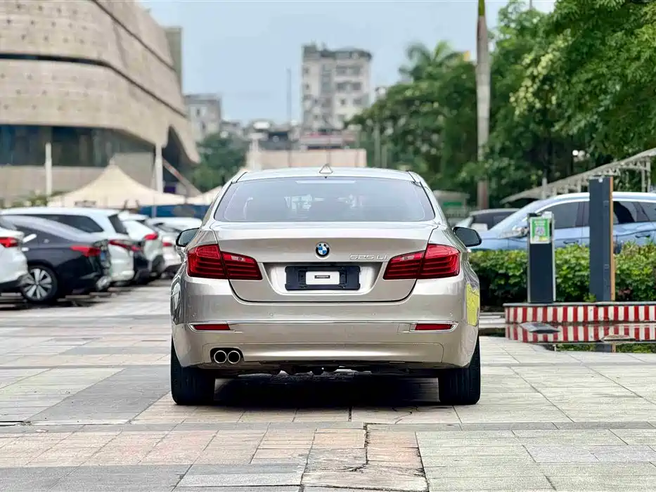 BMW 5 Series 2014 525Li Luxury Design Package фото 3