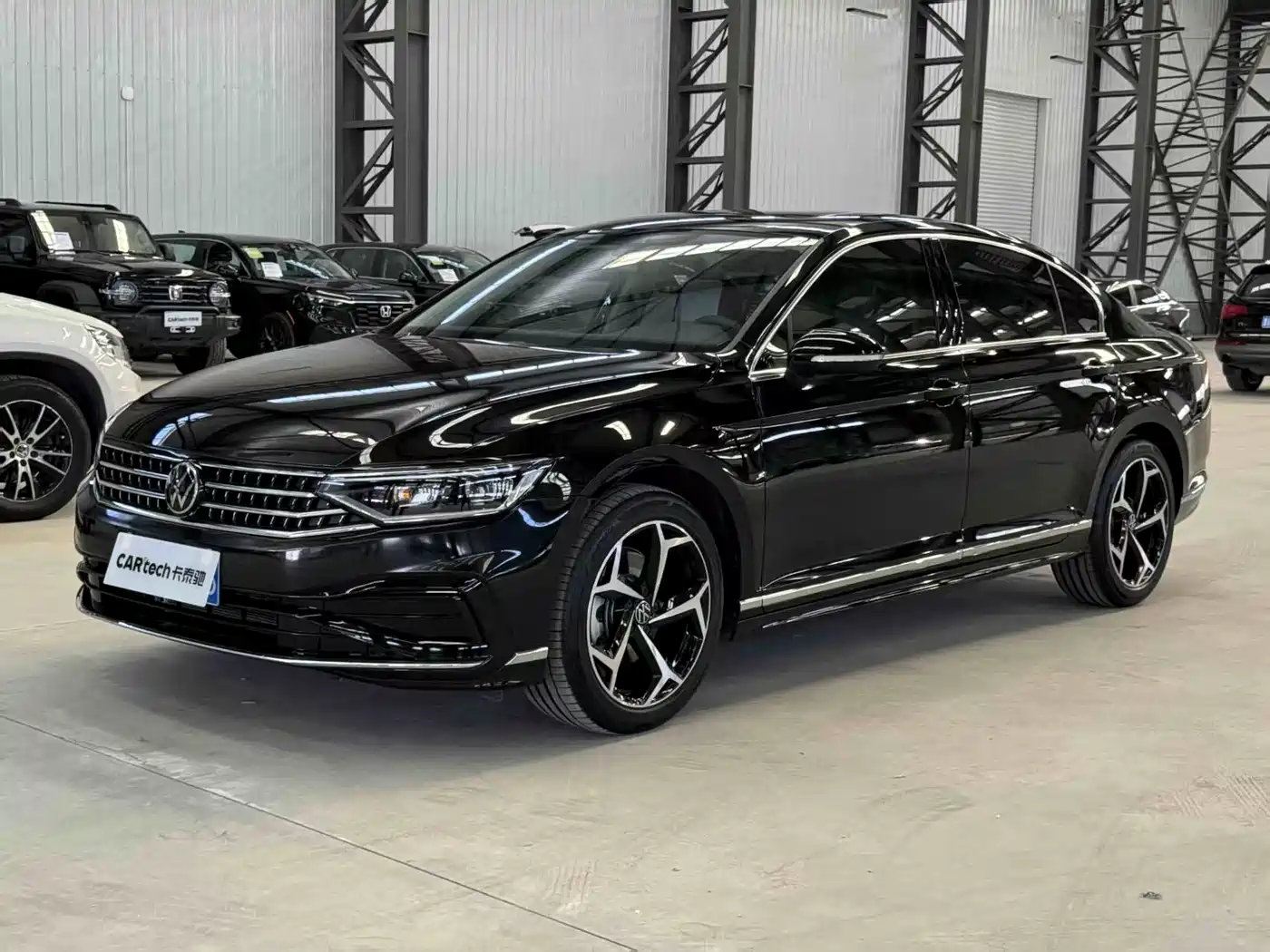 Volkswagen Magotan 2025 Popular Edition 330TSI DSG Luxury