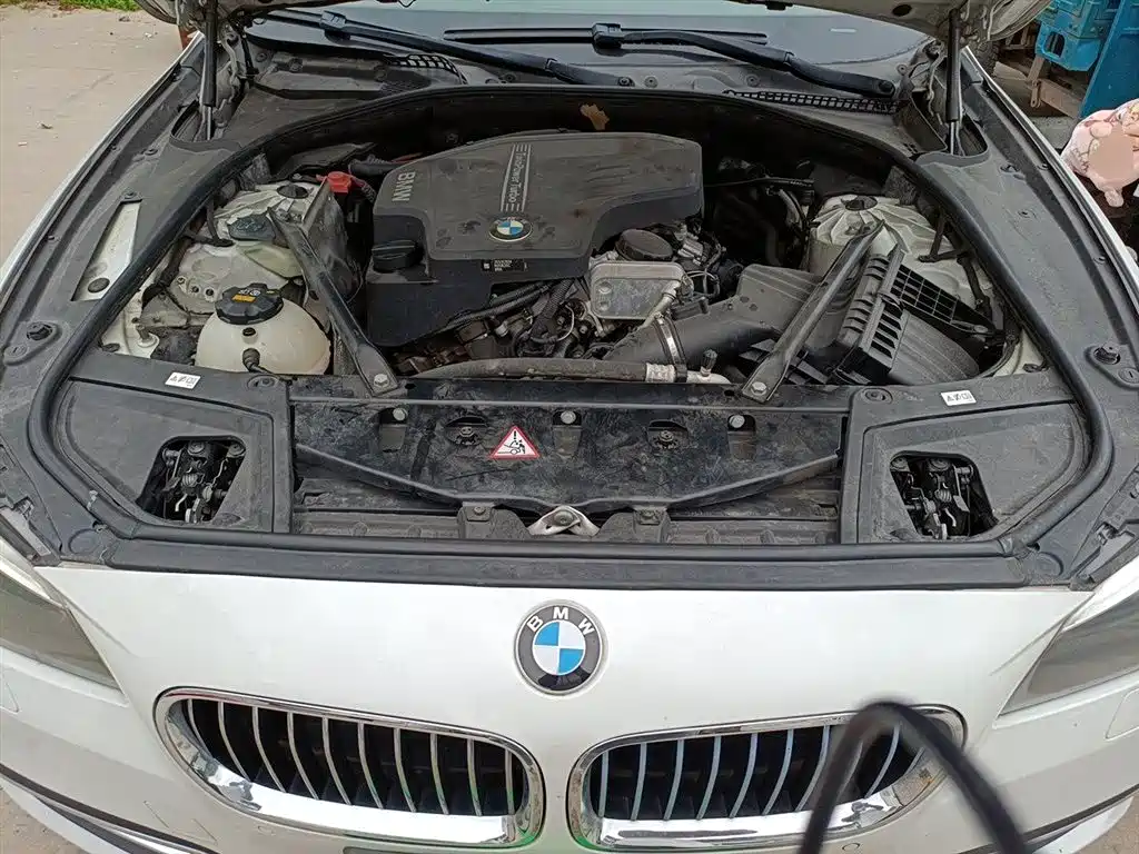 BMW 5 Series 2014 525Li Luxury Design Package фото 11
