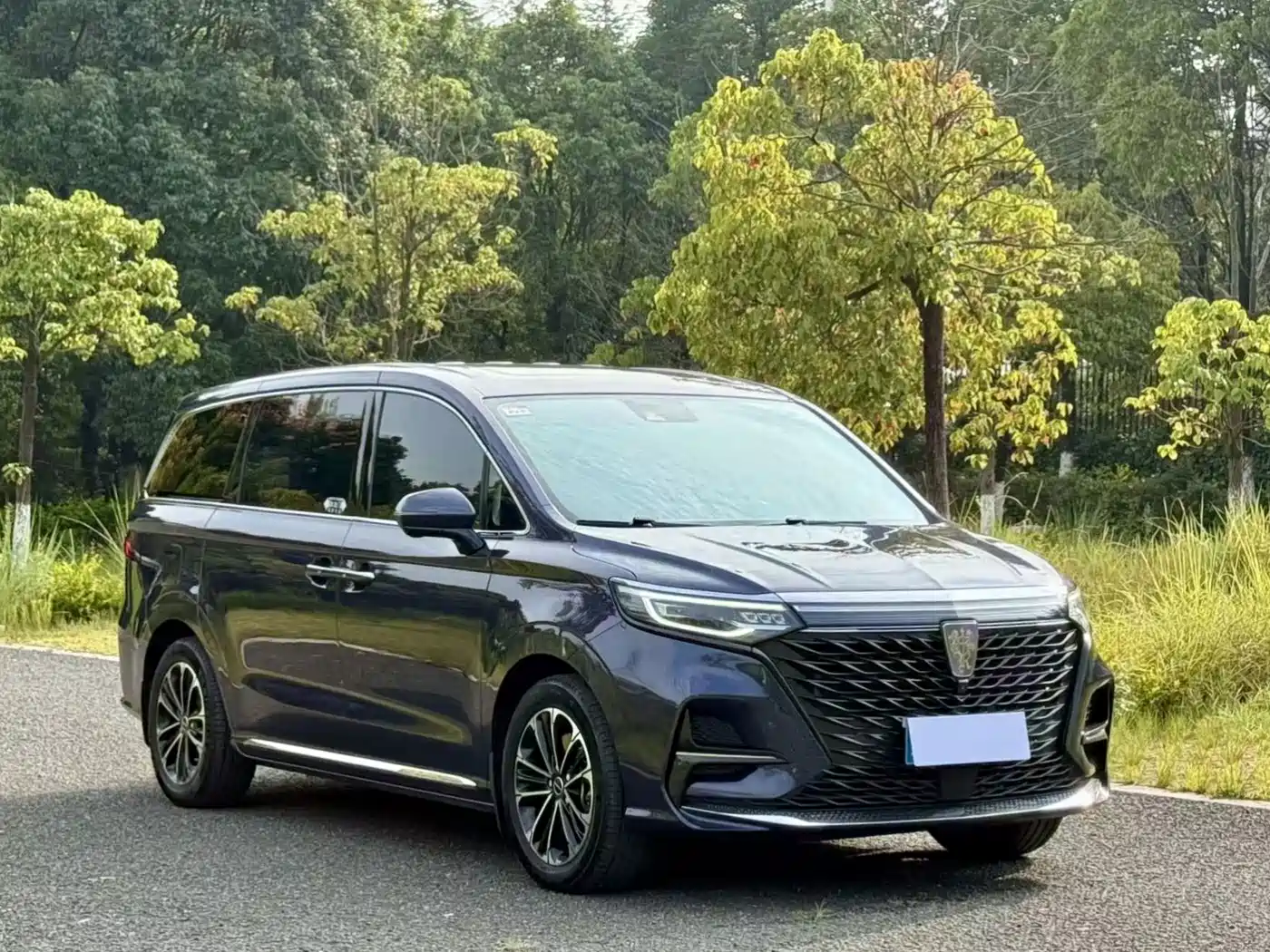 Фото 3 - Roewe iMAX8