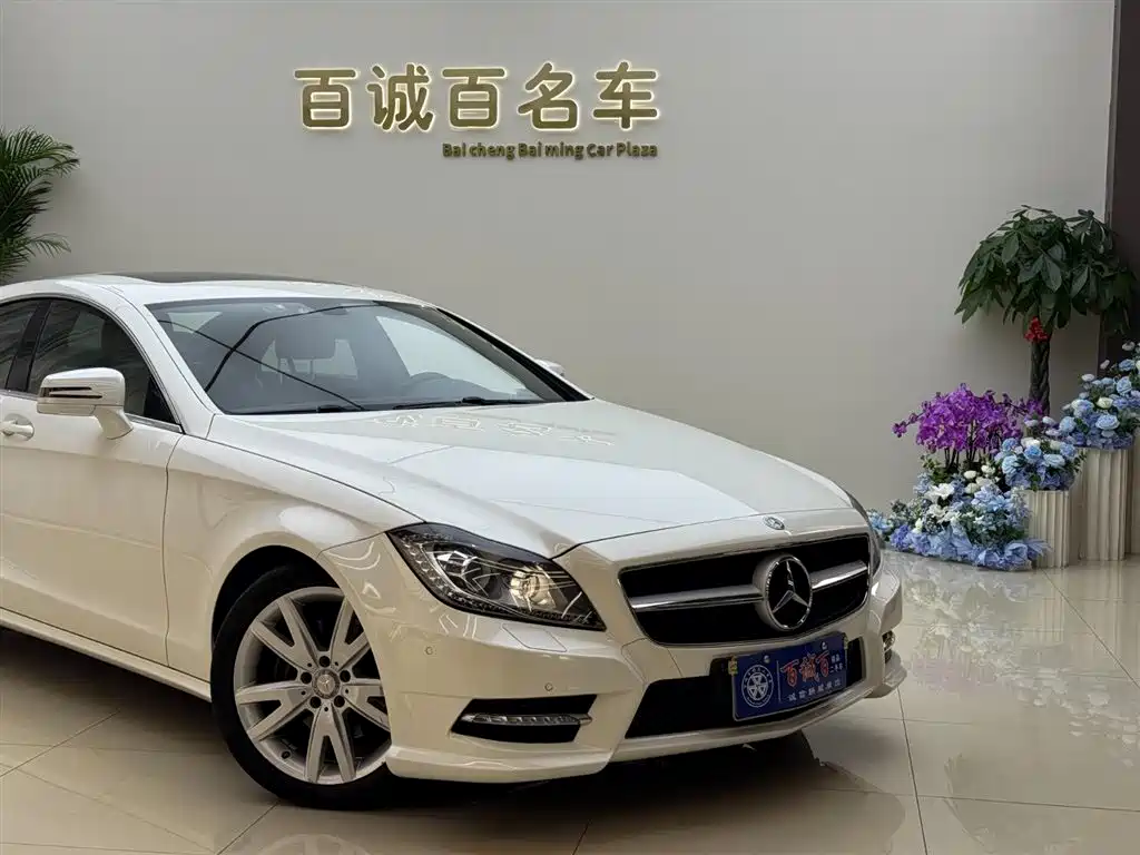 Mercedes-Benz CLS 2012 CLS 300 CGI фото 4
