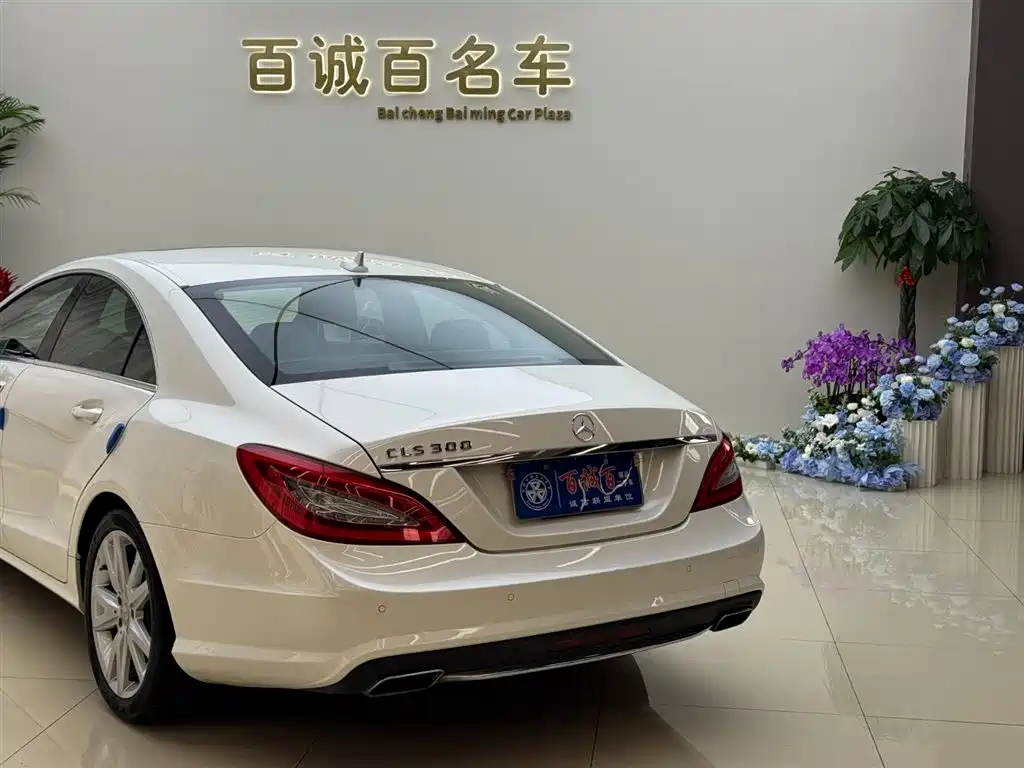 Mercedes-Benz CLS 2012 CLS 300 CGI фото 8