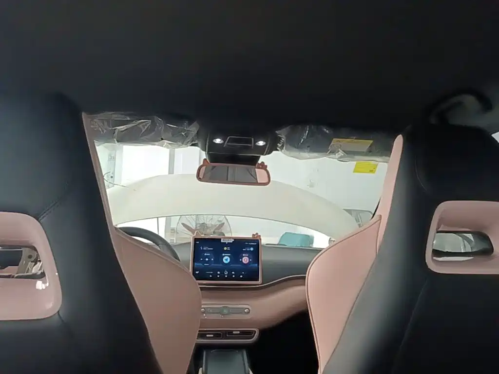 BYD Seagull 2026 2025 Smart Drive Edition 305km Vitality Version