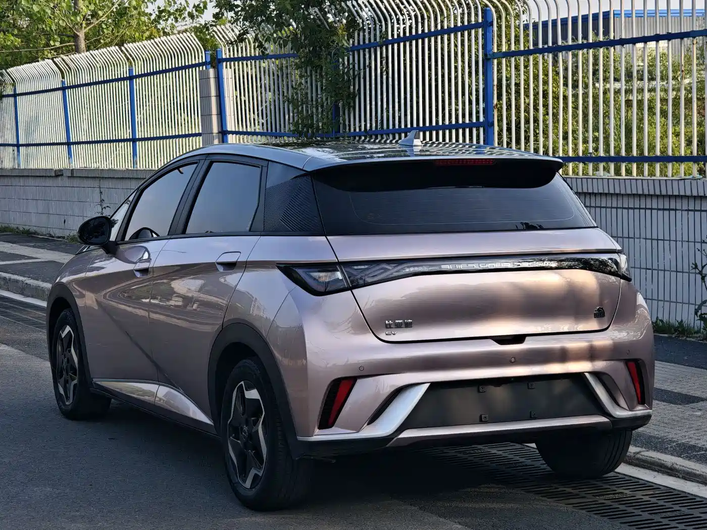 BYD Dolphin 2021 Model 405km Fashion Edition фото 6