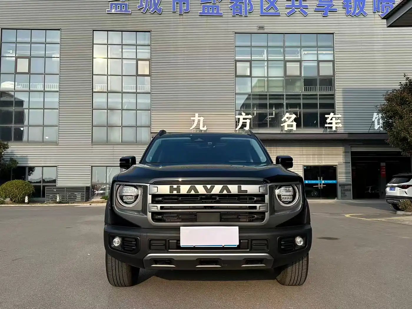 Haval Big Dog 2024 1.5T DCT Border Collie Edition фото 3